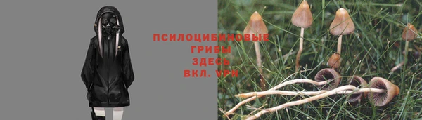 синтетический гашиш Алексеевка